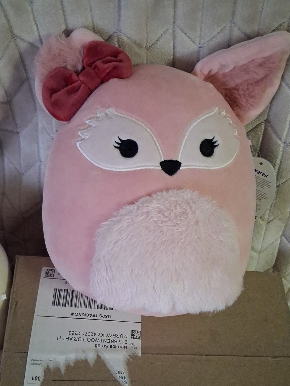 Squishmallow-This Is Miracle The Fennec Fox.